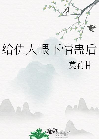我的向导作文封面