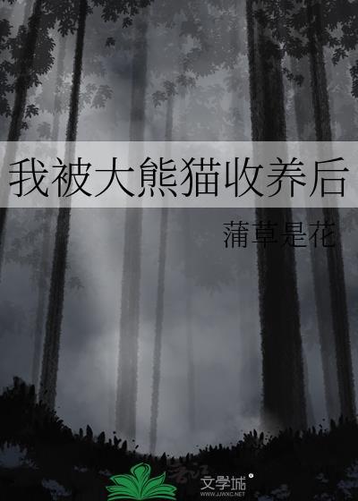 宋三喜苏有容封面