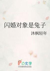 八旗军武器装备封面
