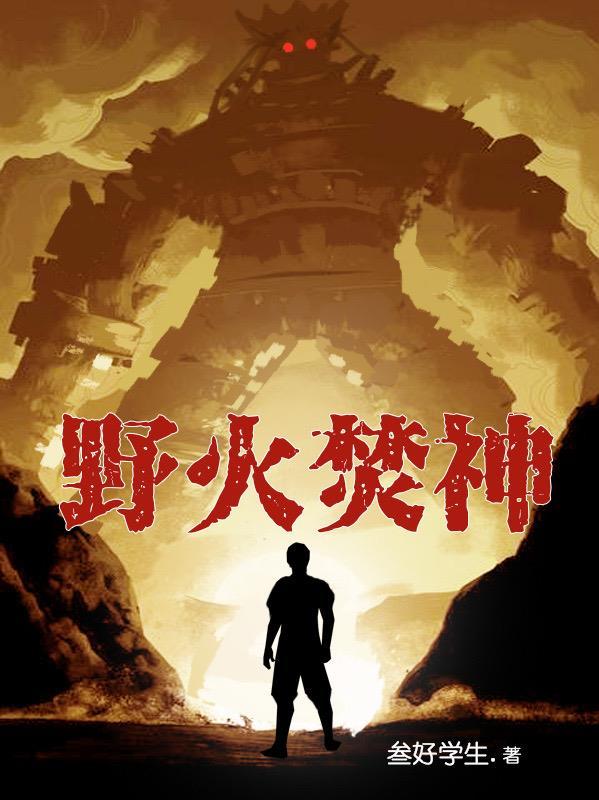 一个PMC的故事封面