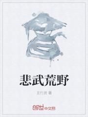 1979戏梦人生顶点中文封面