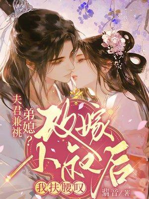 大神探风云封面
