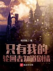 我是来经历的封面