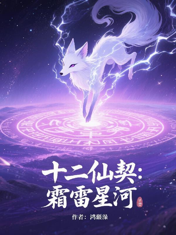 乾坤圣子封面