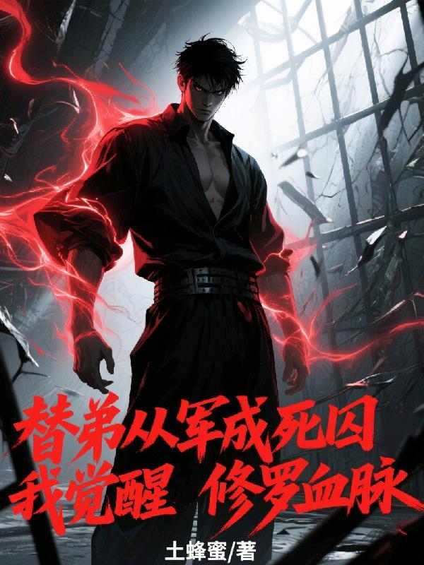 九域大主宰封面