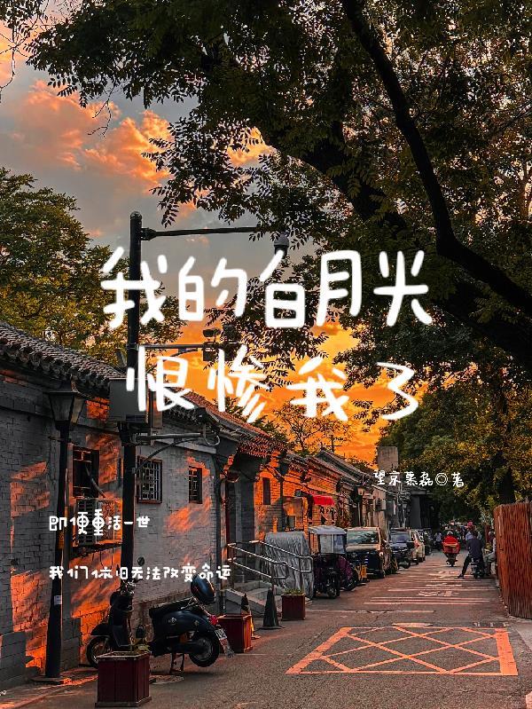 穿越傻柱携系统怼人封面