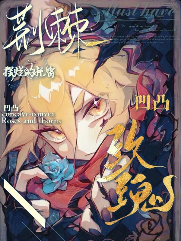 银河烙摊师封面