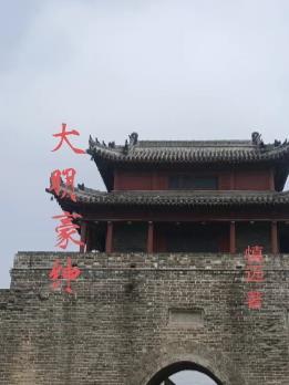 入职番茄后，我真成了星河大帝封面
