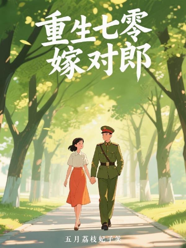 别叫她苏书记封面
