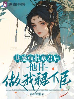 红装谋谍封面