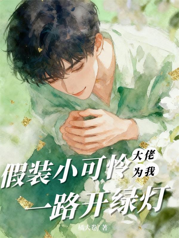 远征军之我在缅甸打游击封面