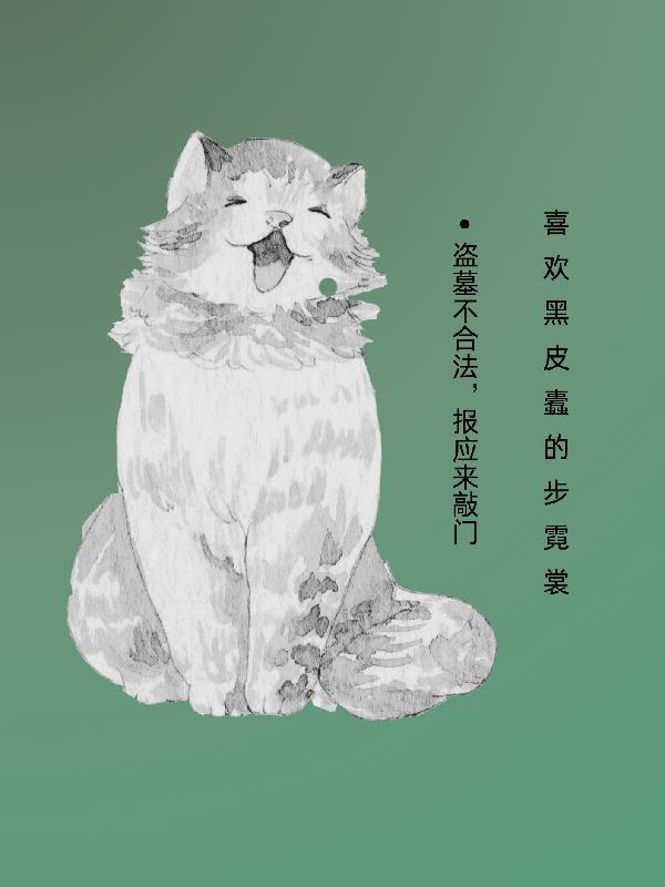 风起赣南封面