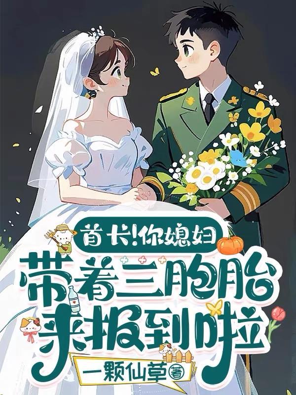 朝歌云平傅君心封面