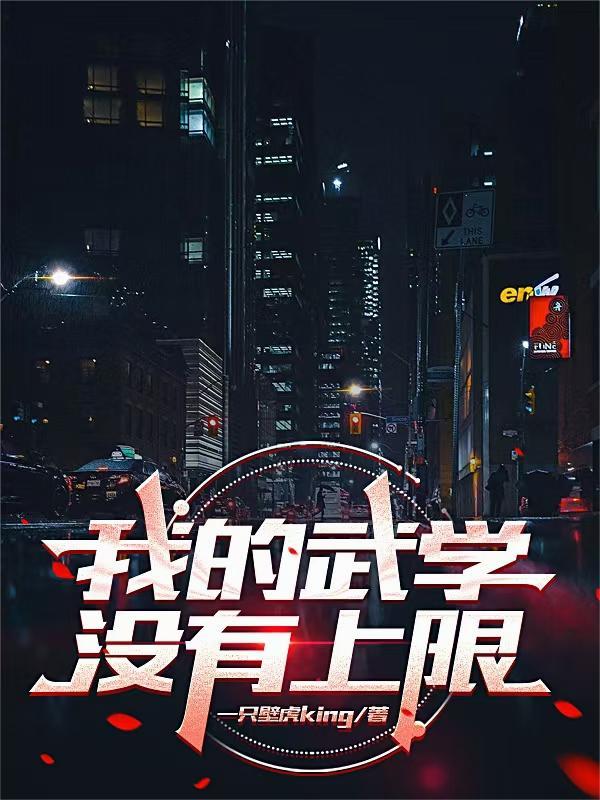 盗笔男团：在无限副本里追妻封面