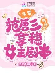 红楼一梦之环玉声声封面
