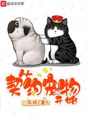 兽魂战纪:从契约灵狐到兽域共主封面