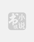 最终幻想7：恶魔挽歌封面