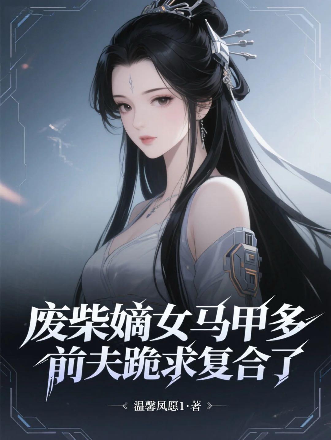 四合院：我本恶人封面