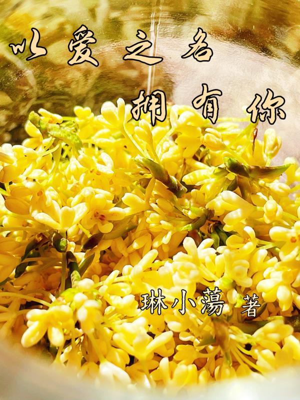 拥有离谱系统，我不做软饭王封面