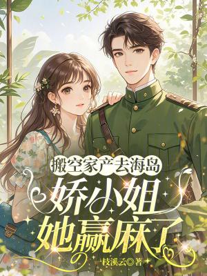 大明执政官封面