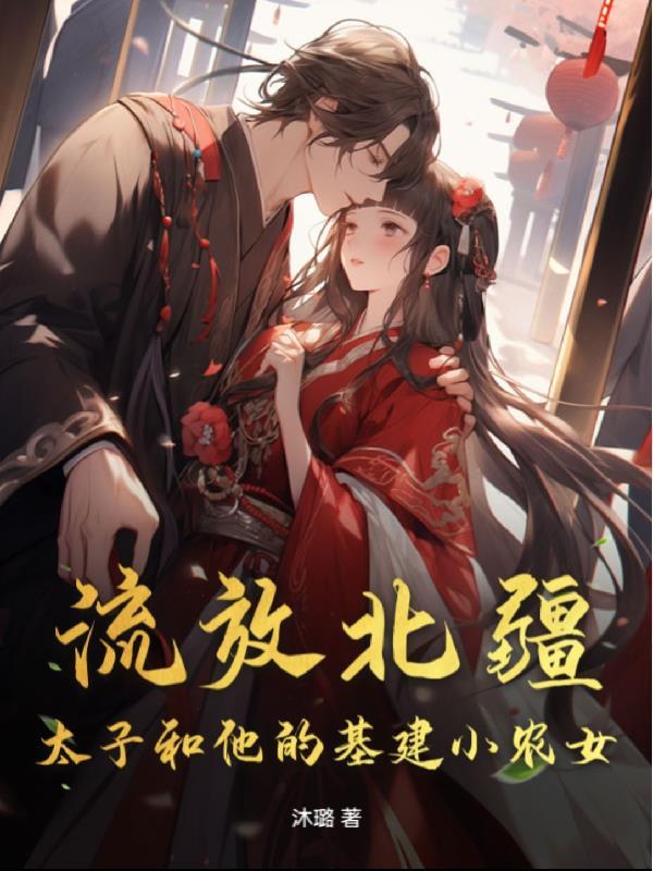 醉入红楼封面