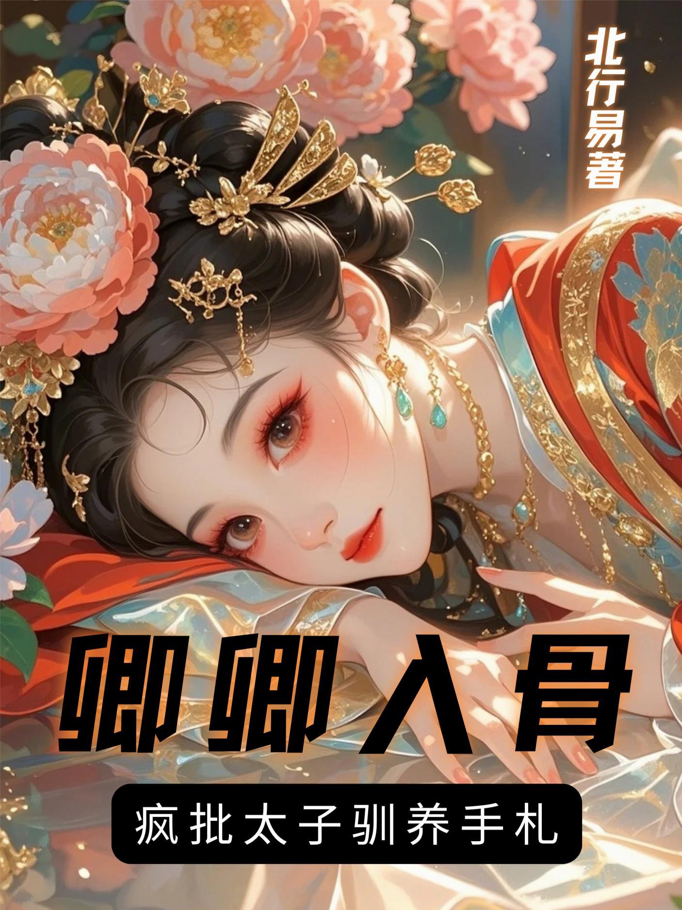 风雨大宋封面