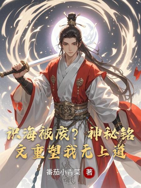我意成神封面