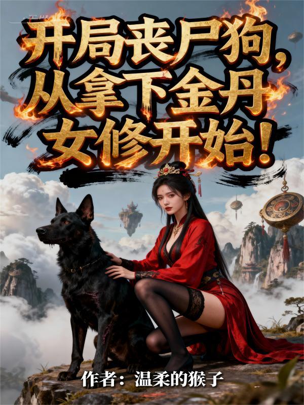 云岭双龙传封面