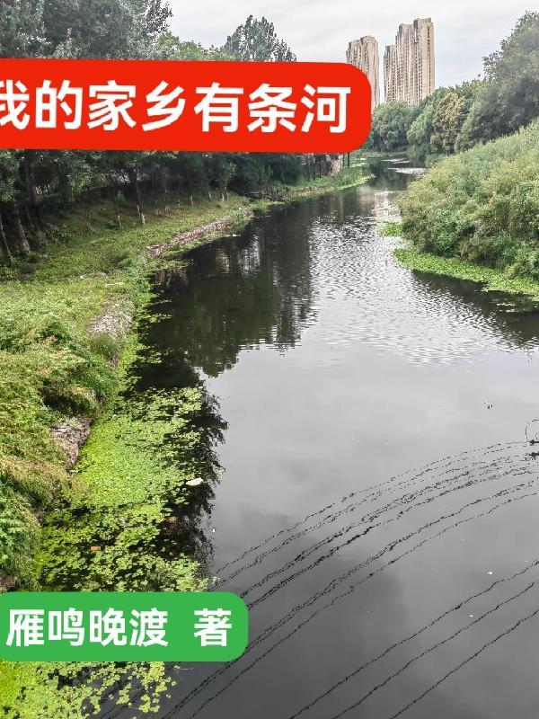 凡夫俗子证道传封面
