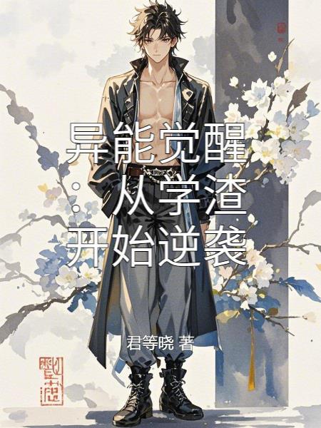 鸿鹄斗封面