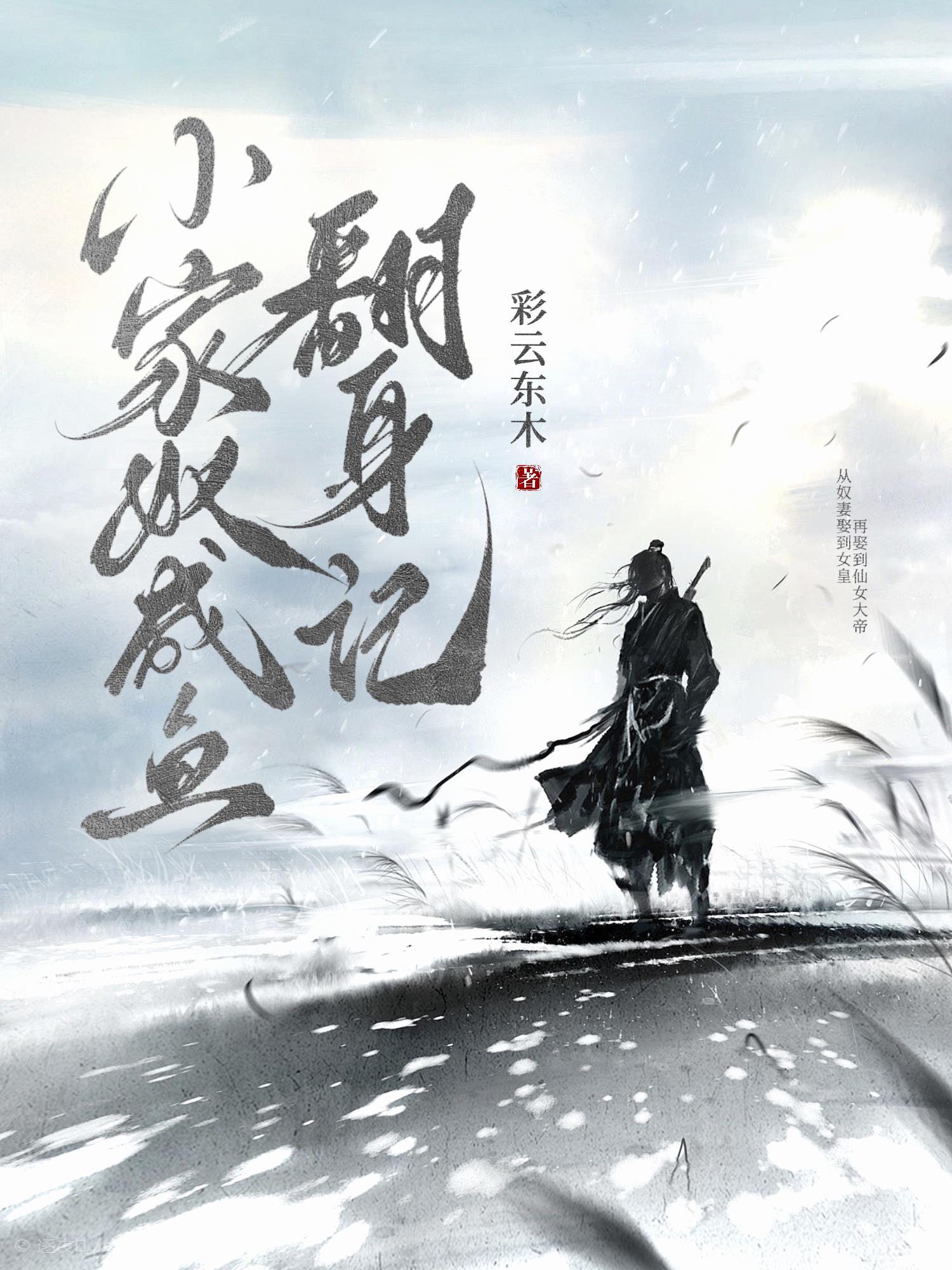 炮火救赎封面