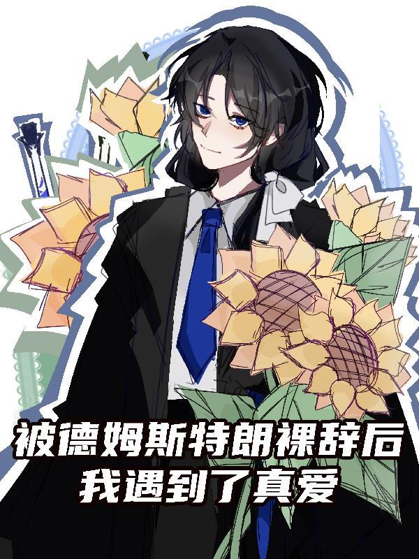 汉少帝刘弘简介封面
