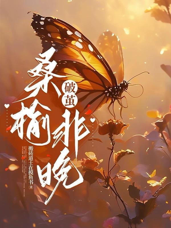我和一只碗封面