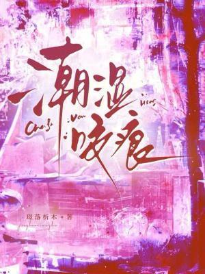 镜界求生封面