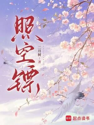 军少掌中宝讲的什么封面