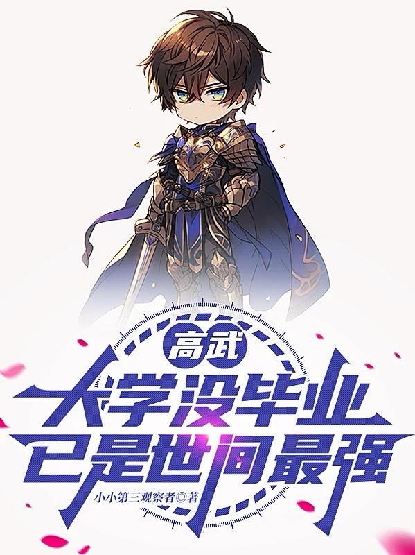 武术大明星封面