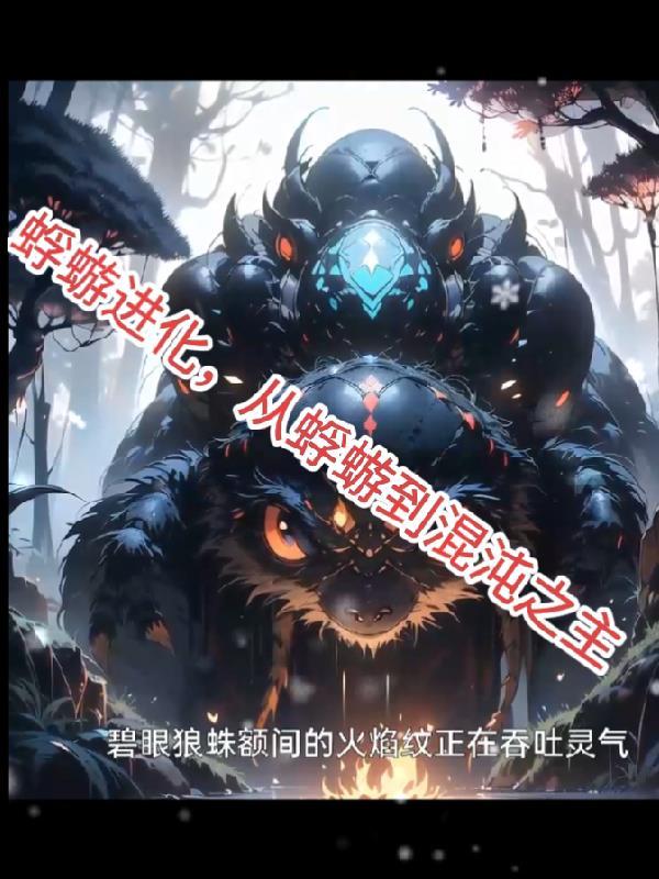 先天道体封面