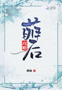 未知的大陆封面