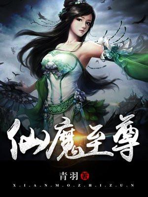 维度之游戏生命封面
