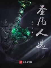 上古卷轴5求生记封面