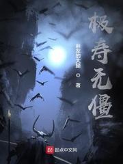 英雄联盟之光芒之路封面