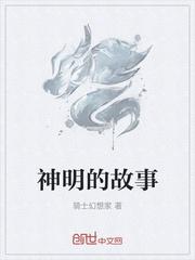 啊！大宋文妃封面