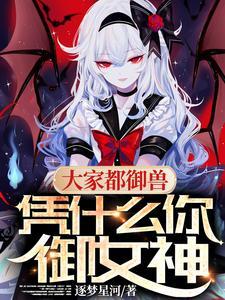 暗黑大陆之英雄无敌封面
