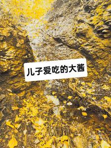 最强末世三国系统封面
