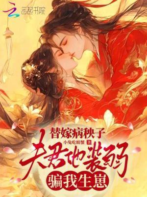 与贼为友封面