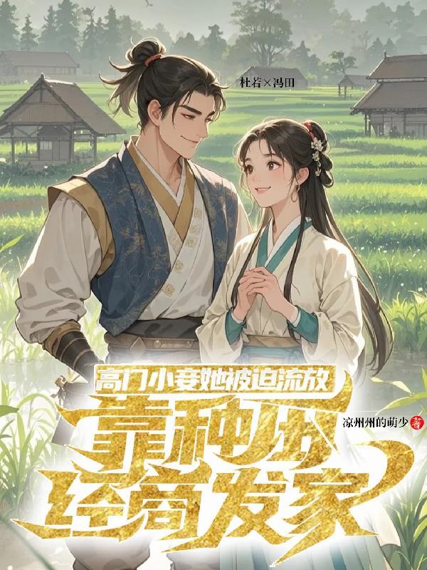 甲地封面