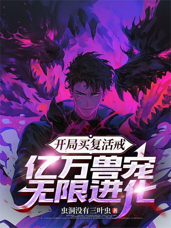 东方之白羽轮回封面