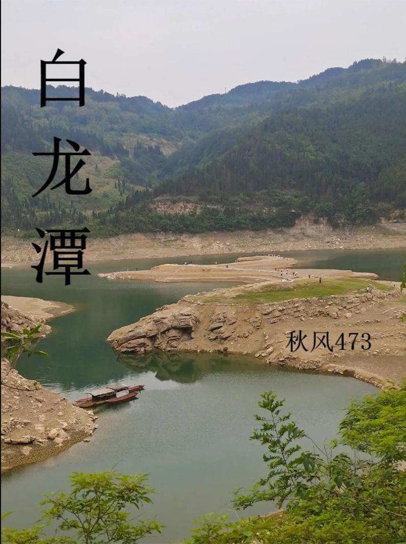 向导要如何拒绝哨兵的大胸肌封面