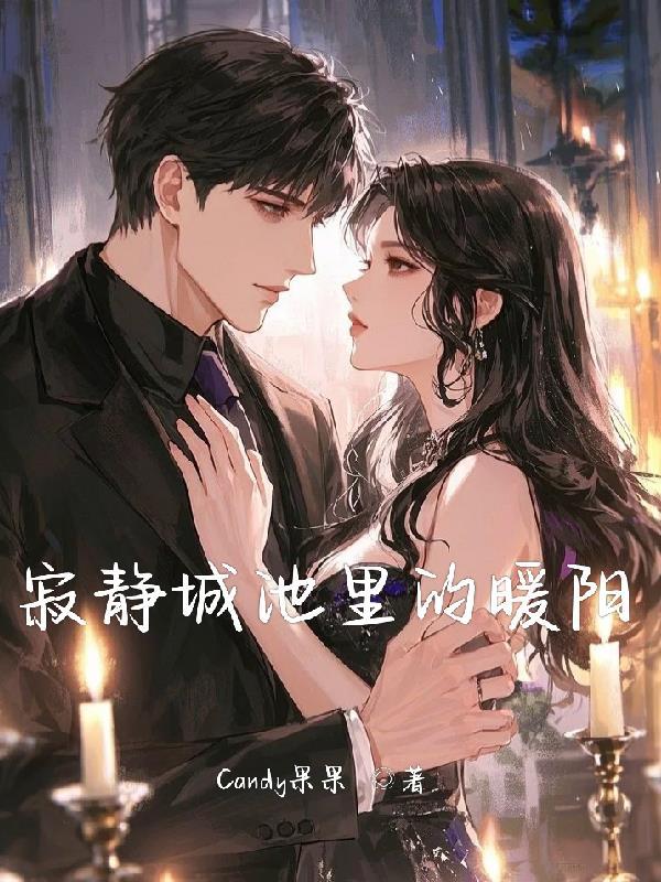 乘龙佳婿封面