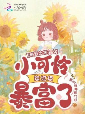 我要收了你封面